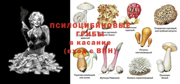 эйфоретик Белоозёрский